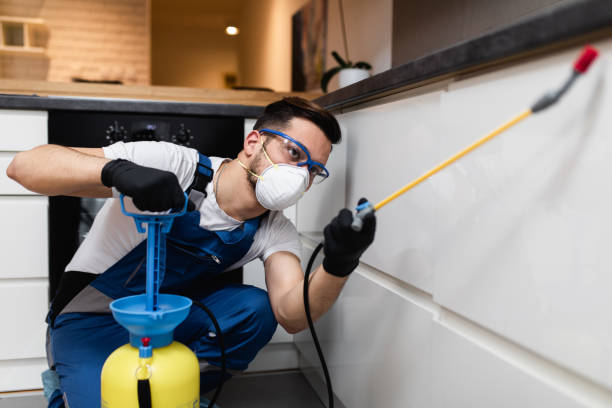 Best Commercial Pest Control Services  in Topaz Ranch Estates, NV