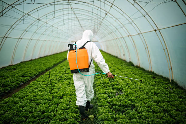 Trusted Topaz Ranch Estates, NV Pest Control Experts