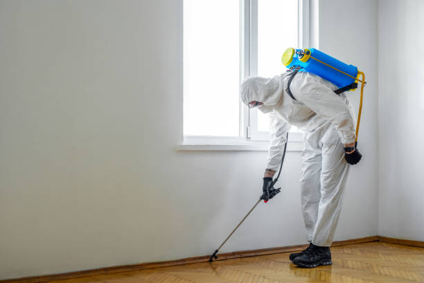 Best Best Pest Control Companies  in Topaz Ranch Estates, NV