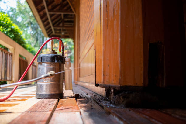 Best Termite Control Services  in Topaz Ranch Estates, NV