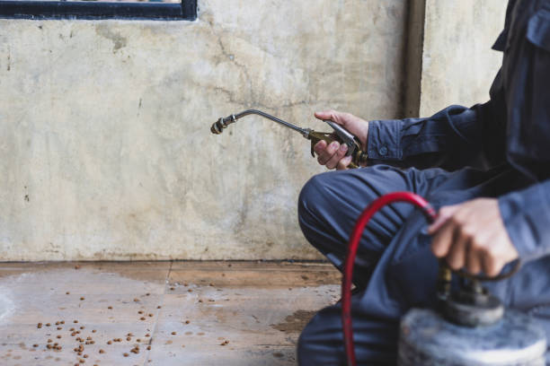 Best Exterminator Services  in Topaz Ranch Estates, NV
